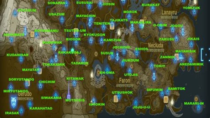 Aagmaaal Run: A Comprehensive Guide to the Phenomenon