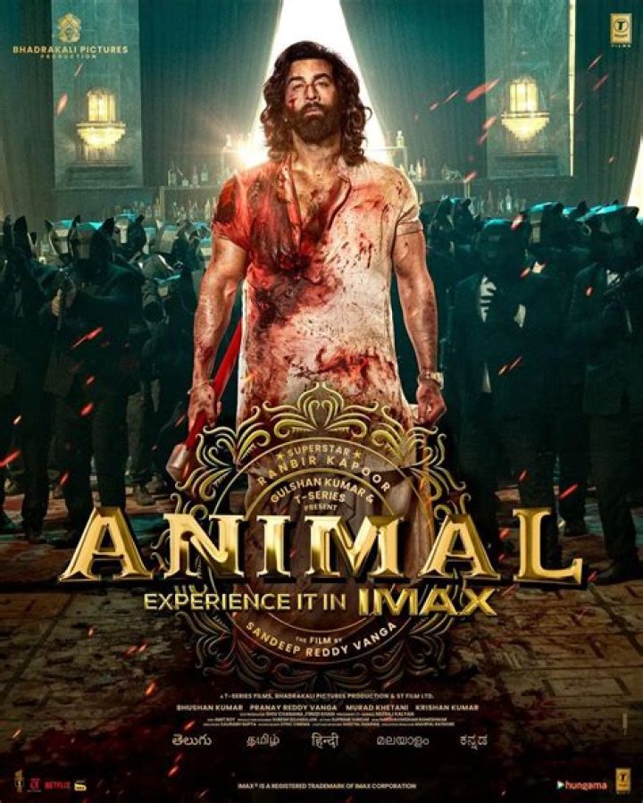 Bollyflix Africa: Revolutionizing the Way Africa Watches Bollywood Movies