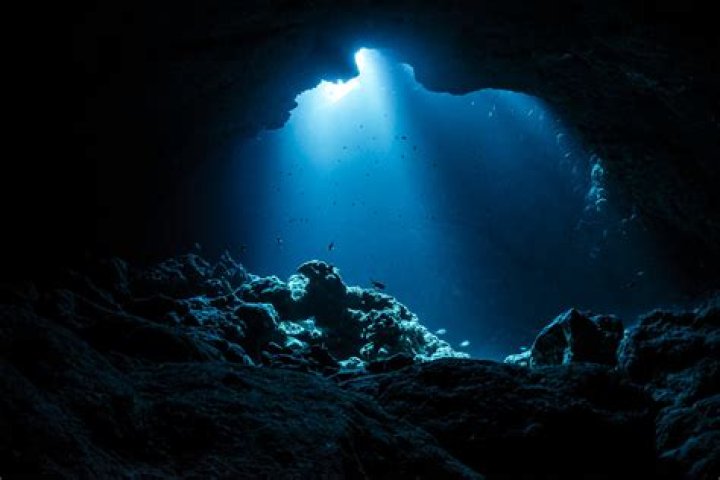 Deephot Website: Your Ultimate Guide to Exploring the Depths of the Web