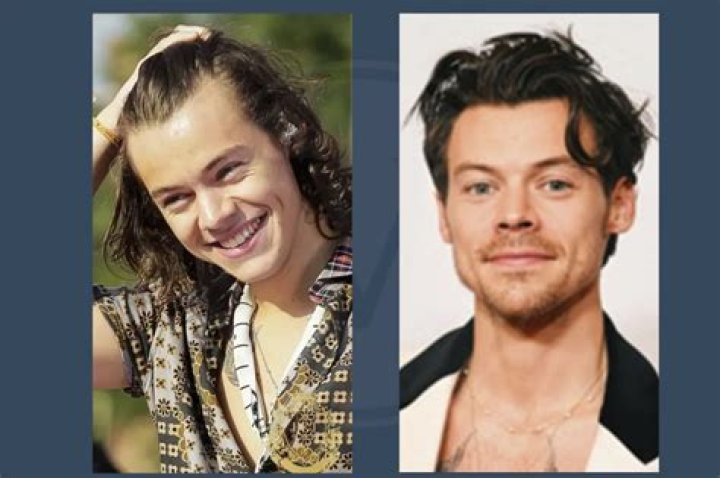 Does Harry Styles Have a Brother? Unveiling the Truth About His Family