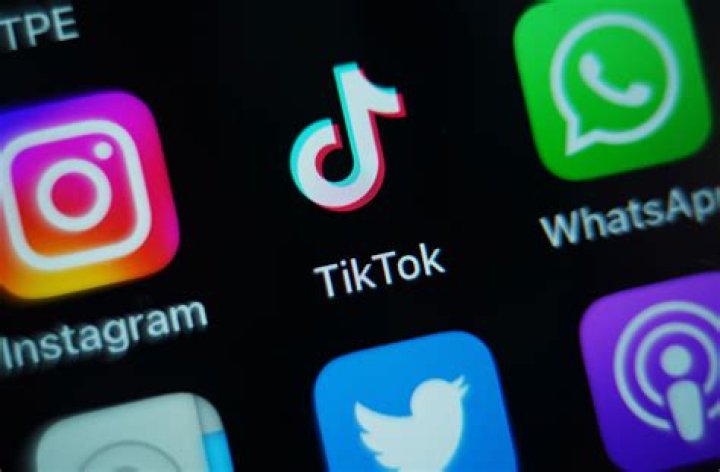 Fleur Cates Wikipedia: The Rising Star of TikTok and Social Media