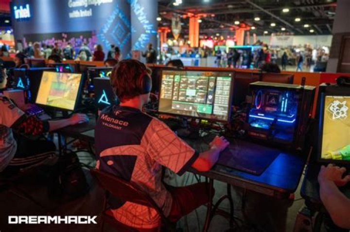Fry99.com: The Ultimate Guide to Online Gaming and Entertainment
