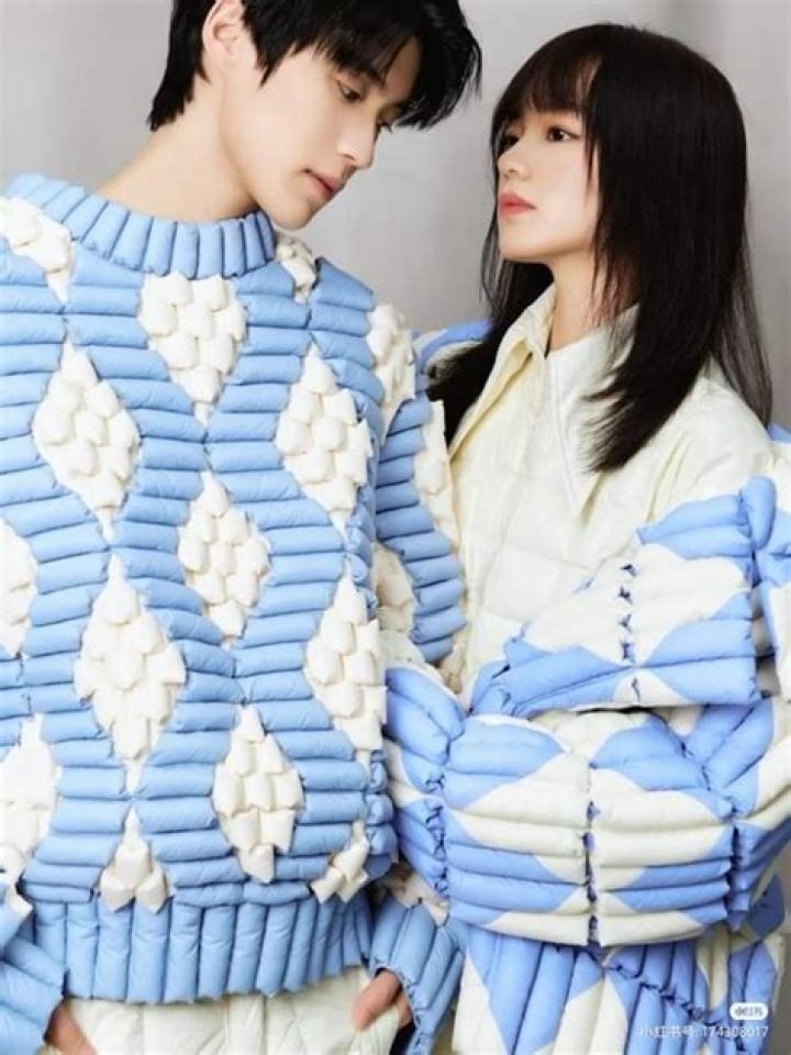 Jiang Zhi Nan and Bian Tian Yang: A Comprehensive Look into Their Lives, Careers, and Impact