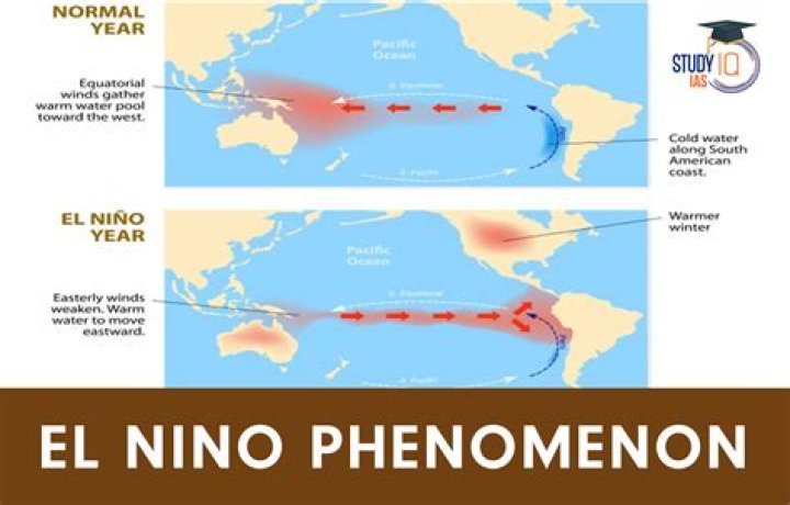 Jordi El Nino: The Phenomenon That Shaped the World
