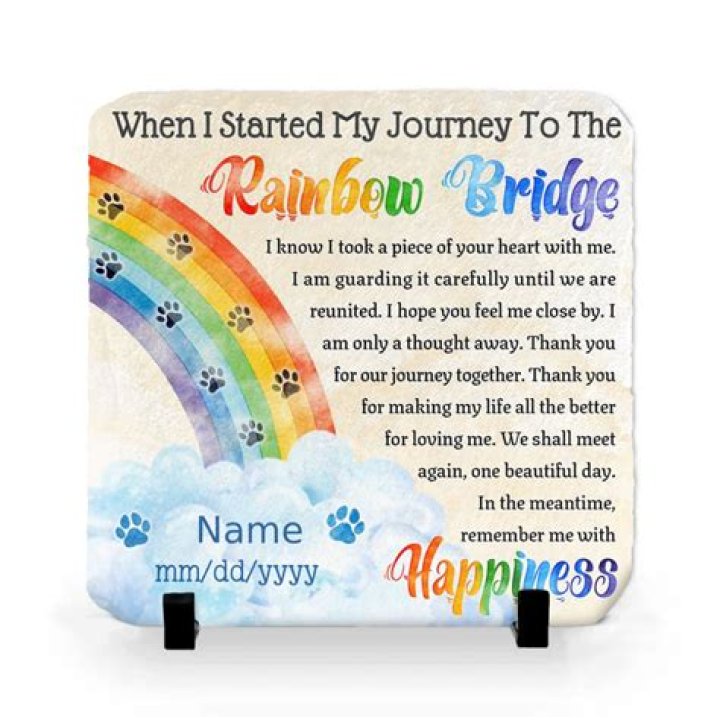 Rainbow Bridge Pet Loss: Understanding the Journey and Finding Peace