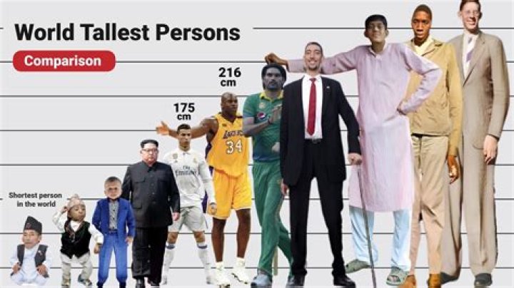 Tallest Person Ever Compared to Shortest Person Ever: A Fascinating Study of Human Extremes