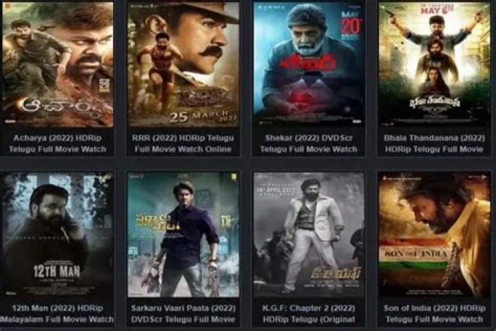 Telugu 5movierulz: A Comprehensive Guide to Understanding the Platform and Its Implications