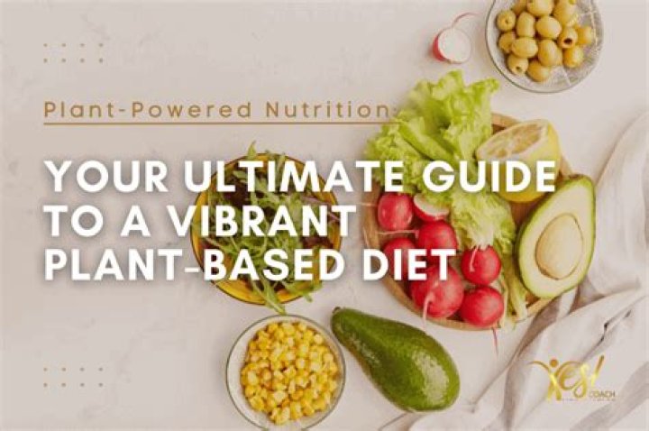 The Vegamovies: Your Ultimate Guide to a Vibrant Plant-Based Lifestyle