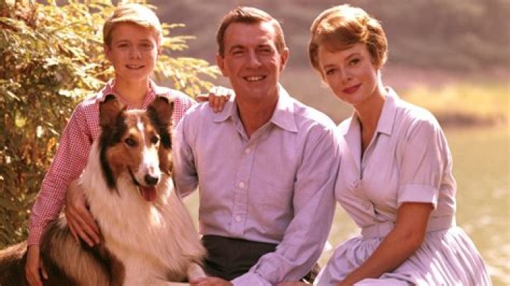 Tommy Rettig: A Rising Star in the World of Acting