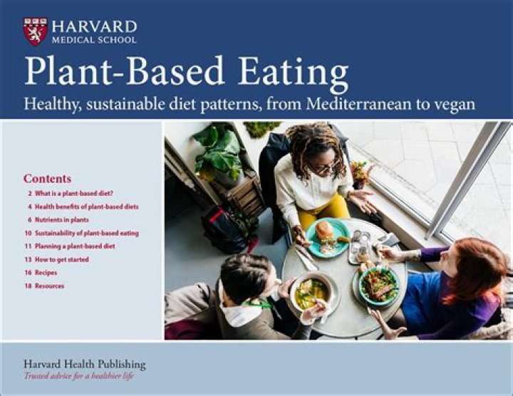 Vegamoies 2.0: A Revolutionary Leap Forward in Plant-Based Nutrition
