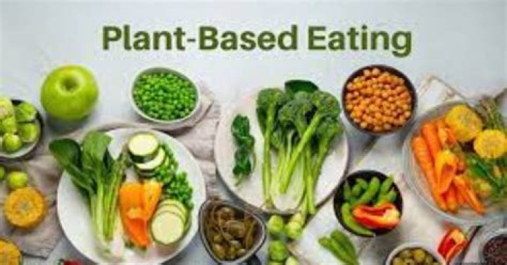 Vegamuvish: Unveiling the Future of Plant-Based Nutrition