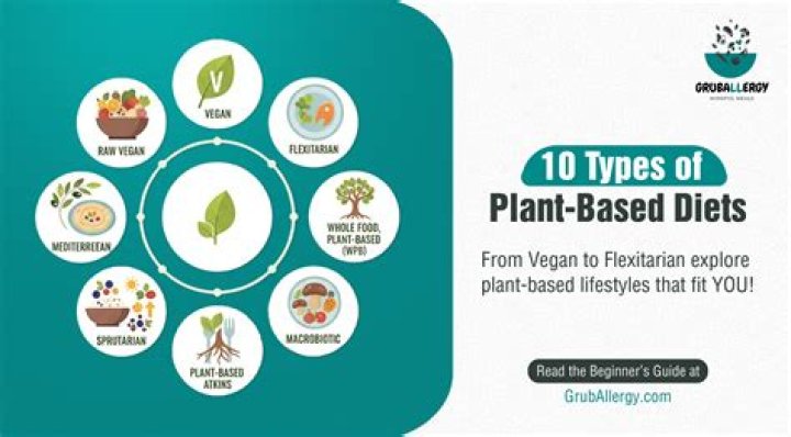 Vegomovie: Your Ultimate Destination for Plant-Based Movie Snacks
