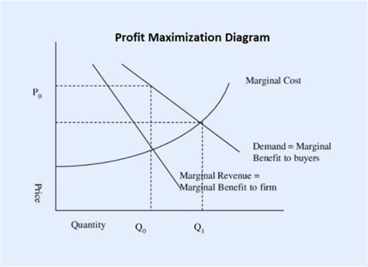 Vigamivies: A Comprehensive Guide to Understanding and Maximizing Its Potential