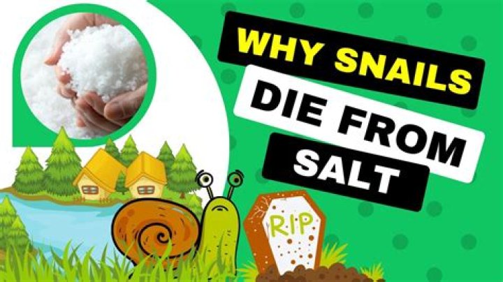 What Happens When You Put Salt Under Your Tongue: A Comprehensive Guide