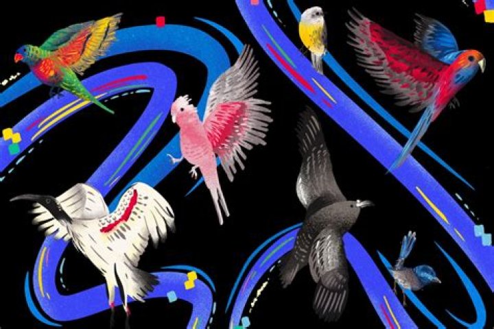 When Did Birds First Appear: A Journey Through Time