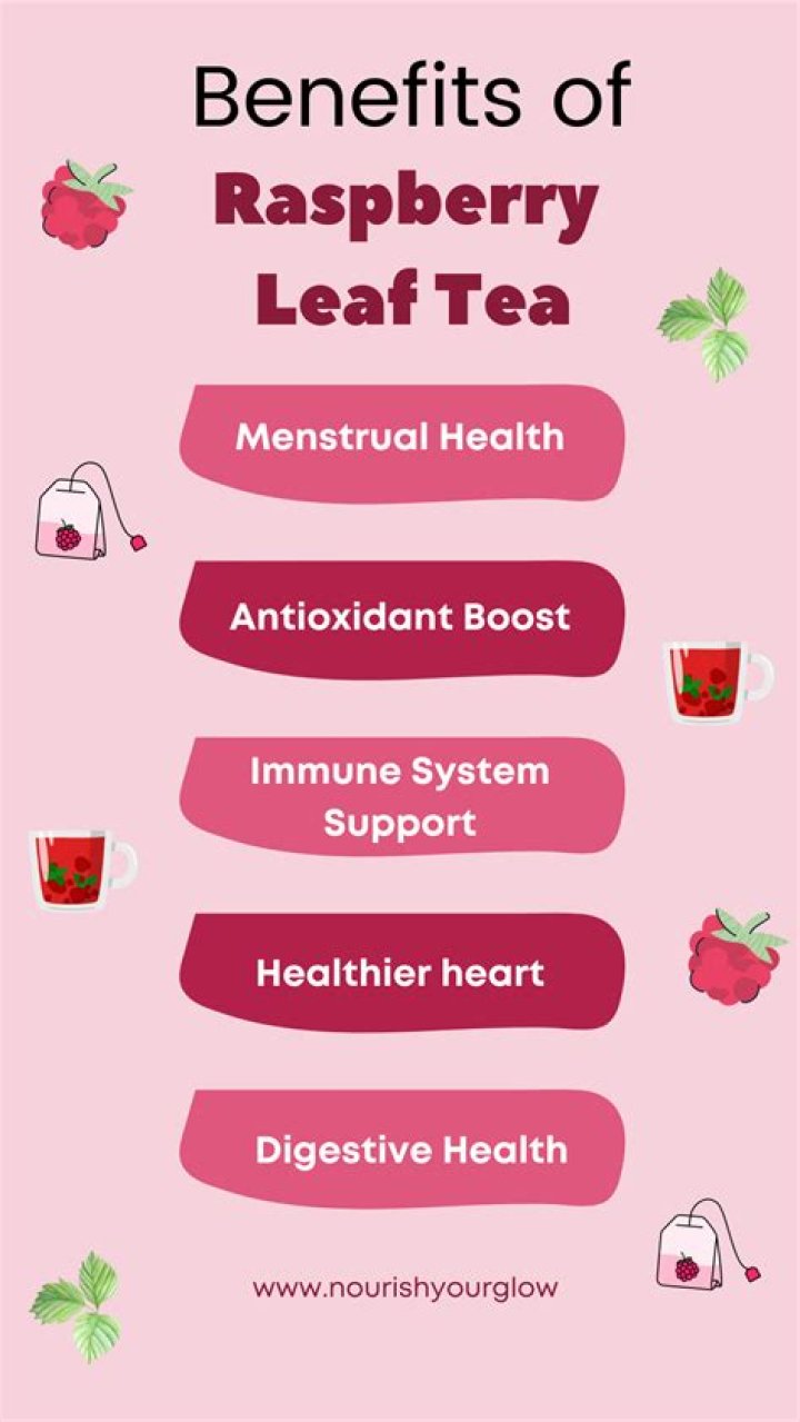 When to Start Drinking Raspberry Leaf Tea: A Comprehensive Guide