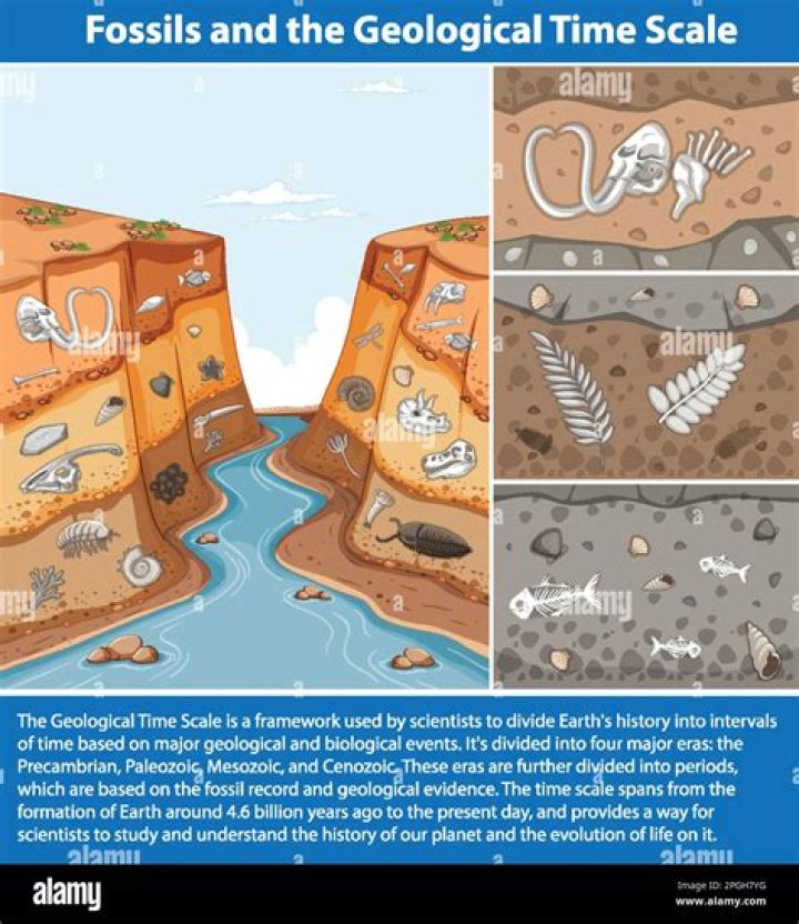 Which Period on the Geological Time Scale Did Insects Appear? A Comprehensive Exploration